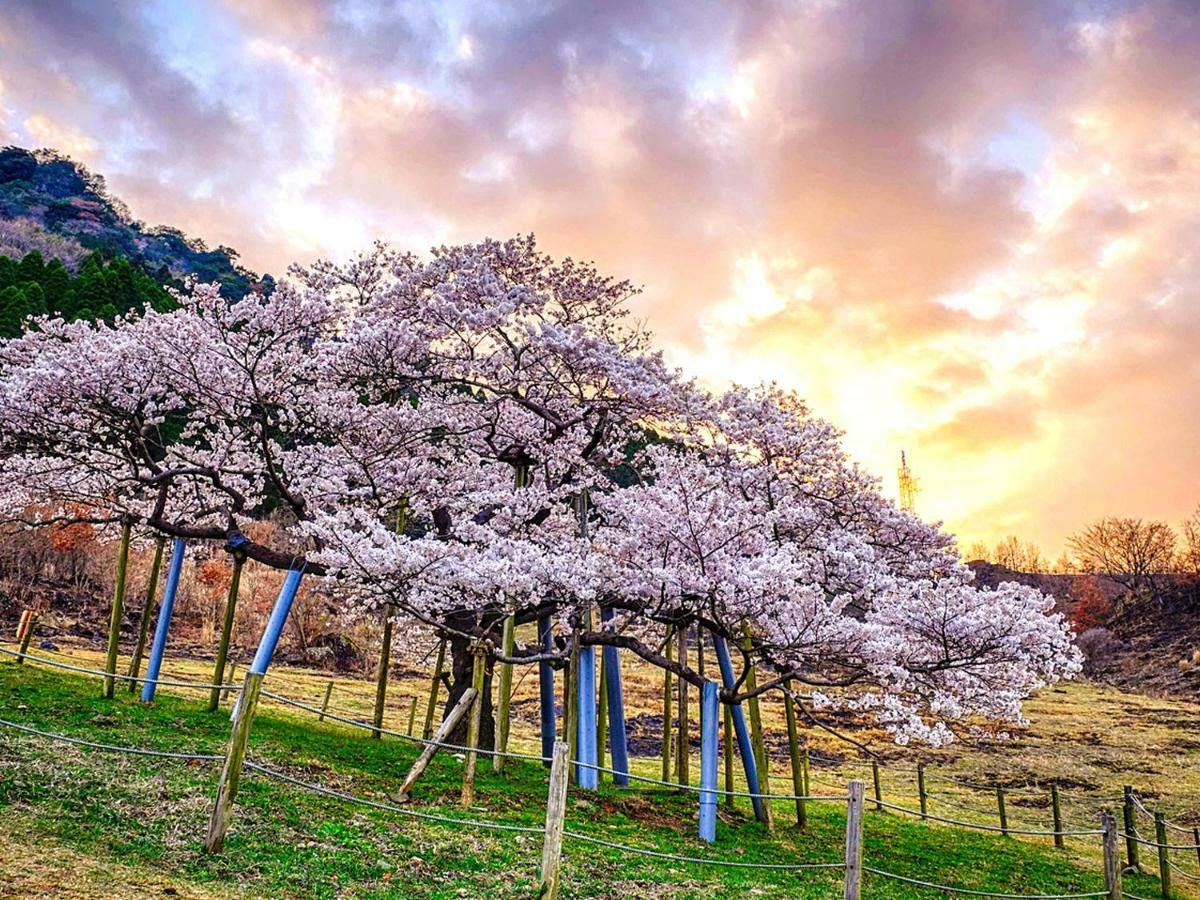 Отель Shikino Mori Асо Экстерьер фото